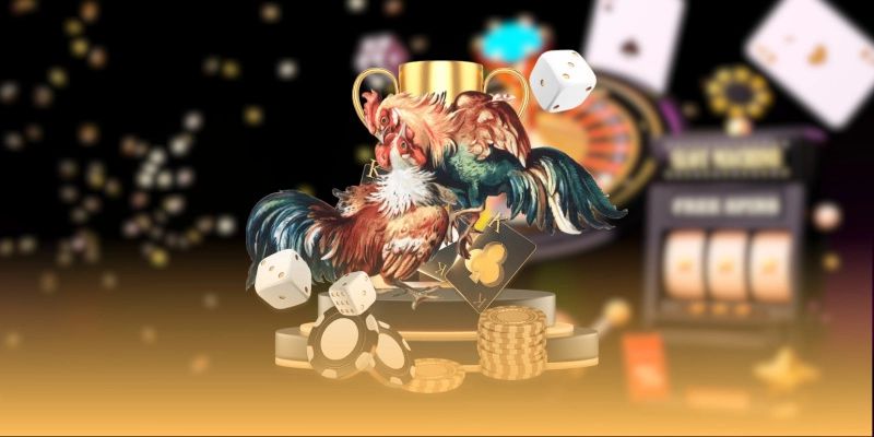 Đá gà tại cổng game MMWIN – Hàng ngàn trận đấu chọi gà hấp dẫn